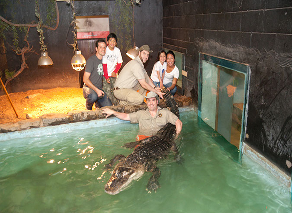 Product Image Product Image